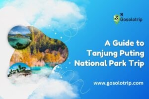Tanjung Puting National Park