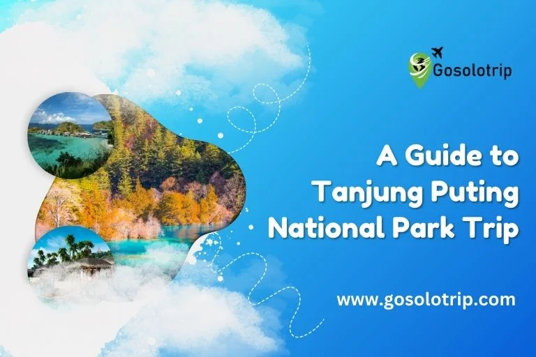 A Guide to Tanjung Puting National Park Trip