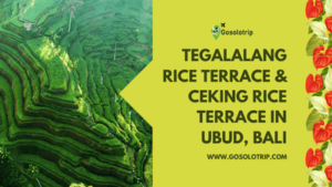 Ceking Rice Terrace