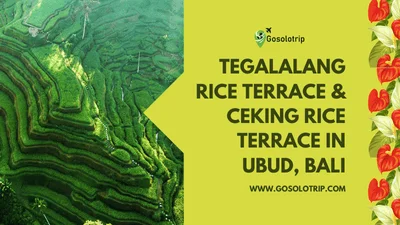 Tegalalang Rice Terrace