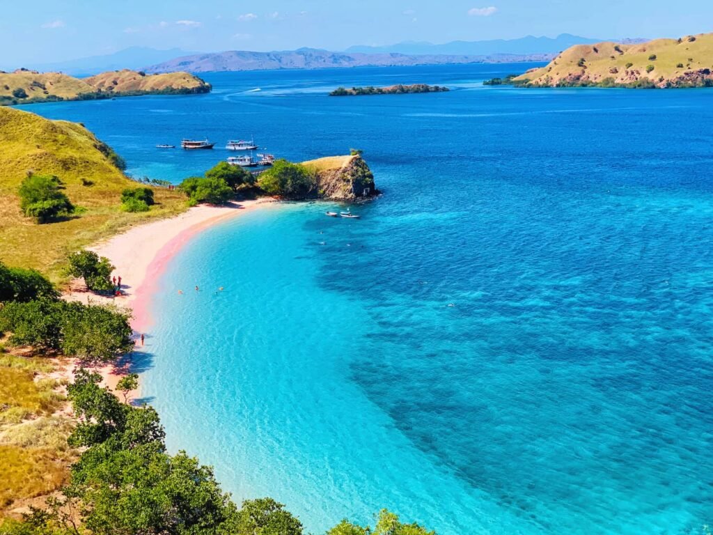 The STUNNING Komodo Island Pink Beach
