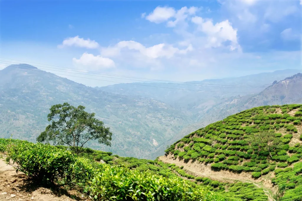 Java | Facts, Map,
