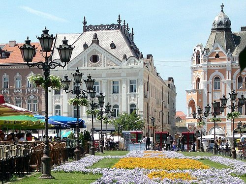 BEST Things to Do in Novi Sad (2025)