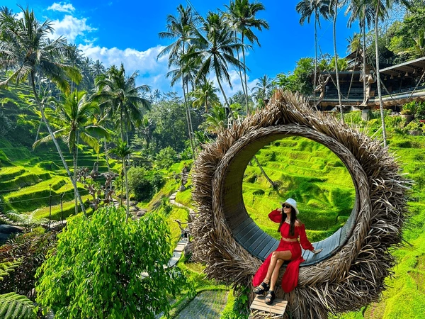 Ceking Rice Terrace in Ubud Bali