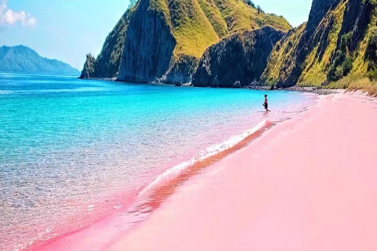 Pink Beach Komodo National Park
