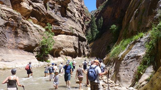 The Narrows - Zion National Park