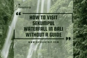 How to Visit Sekumpul Waterfall in Bali without a Guide