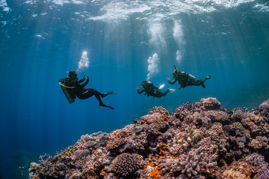 Deep Diving Spots