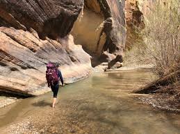 The 10 Best Hikes in the USA For Every Type of Adventurer
