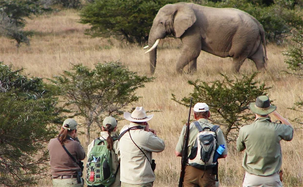 To travel with or without a guide