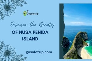 Discover the Beauty of Nusa Penida Island