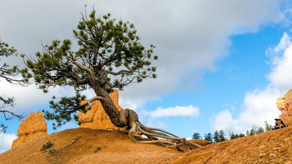 utah national parks road trip